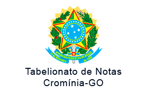 Larissa Anésia Rezende Silva